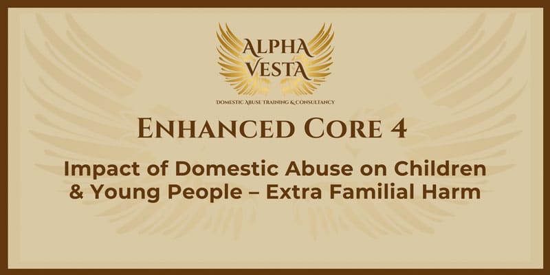  Enhanced Core 4: Impact of Domestic Abuse on Children & Young People - Extra Familial Harm