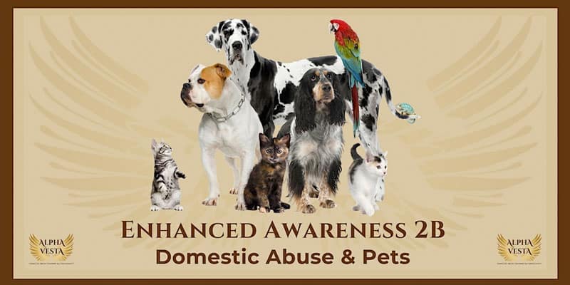  Enhanced Awareness: Domestic Abuse & Pets